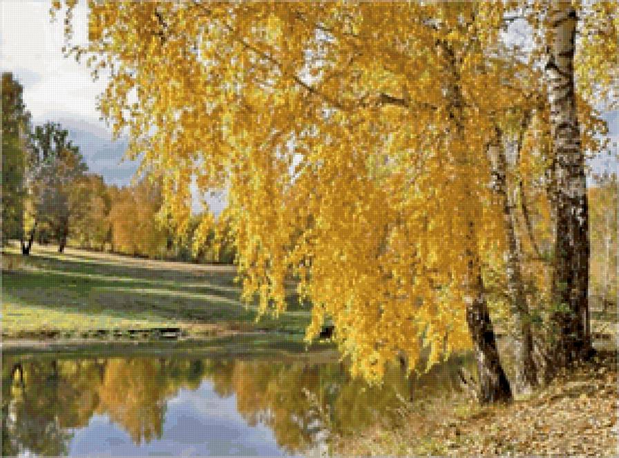Золотые березы у реки - пейзаж, осень, река, березы, природа - предпросмотр