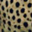 Предпросмотр схемы вышивки «Гепард» (№63350)