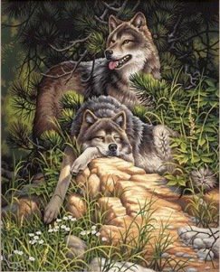 Волки - волк, хищник, двое, животные - оригинал