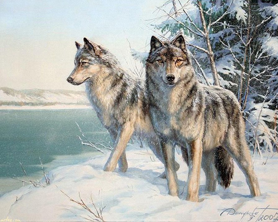 0017 - живопись, красота, картина, зима, волки, животные - оригинал