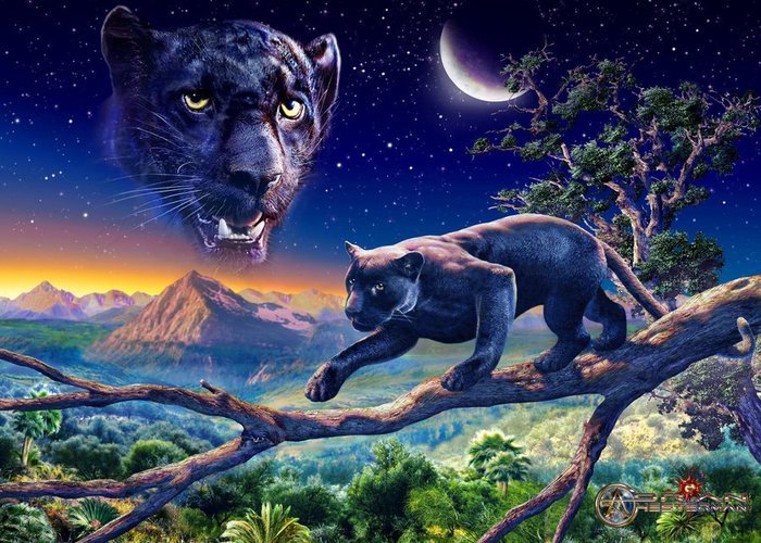 пантера - кошки, природа, картина, хищники - оригинал