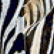 Предпросмотр схемы вышивки «зебры» (№64620)