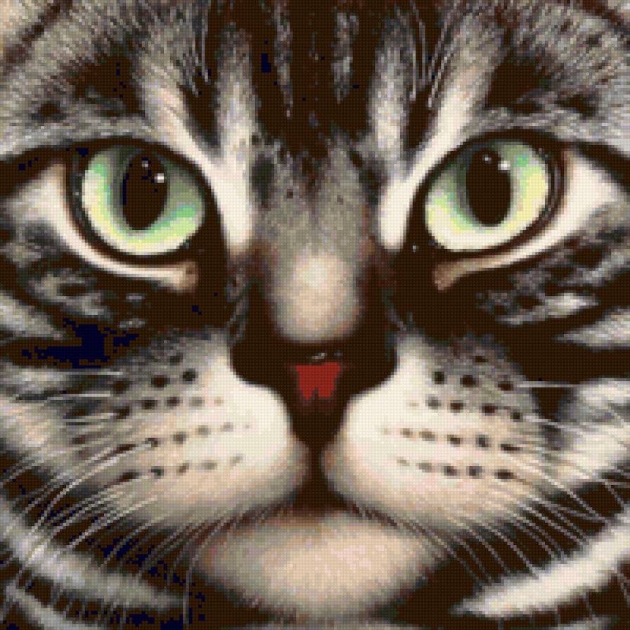 серия "Кошки" 3 - черно-белый, леопард, животные, кошки - предпросмотр