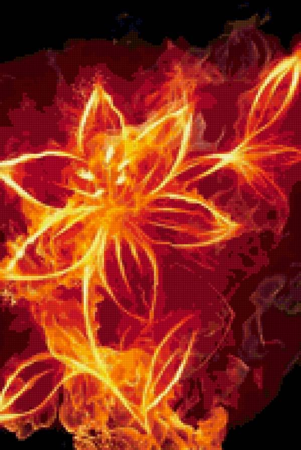 цветок огня - цветок - предпросмотр