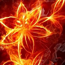 Схема вышивки «цветок огня»