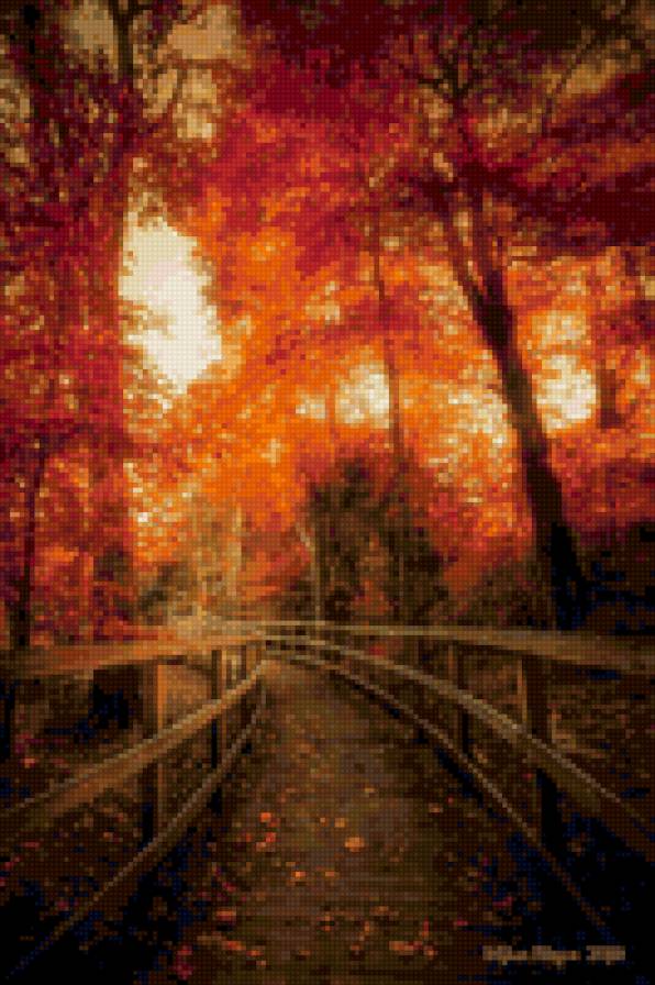 Осенняя дорога - лес, осень, тропа - предпросмотр