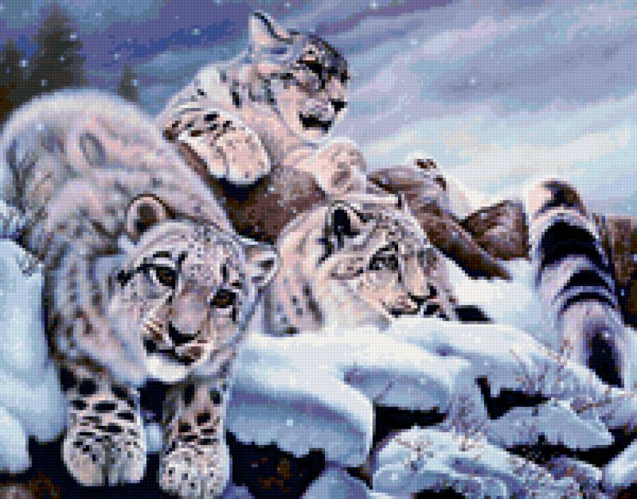 Снежные барсы - животные, живопись, зима - предпросмотр