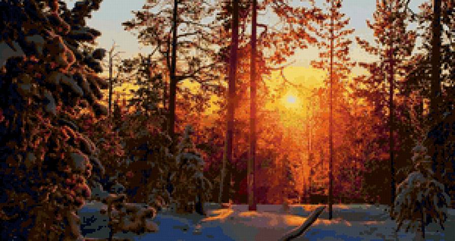 Зима - пейзаж, зима, лес, снег, природа - предпросмотр