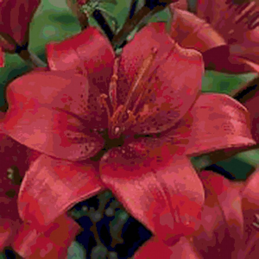 liliya2 - лилия, цветы - предпросмотр