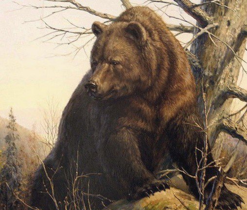 Медведь - картина, медведь, анималисты, животные, живопись - оригинал