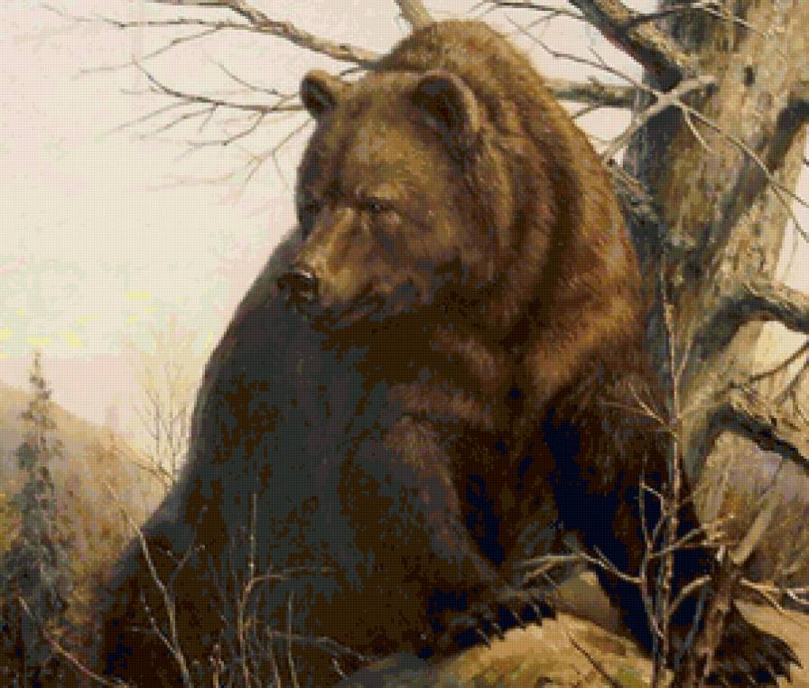 Медведь - живопись, картина, медведь, животные, анималисты - предпросмотр