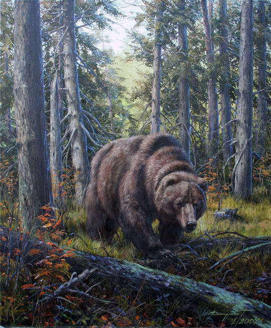 Медведь - анималисты, картина, животные, живопись, медведь - оригинал