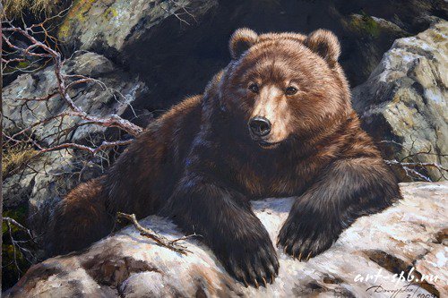 Медведь - животные, анималисты, живопись, картина, медведь - оригинал