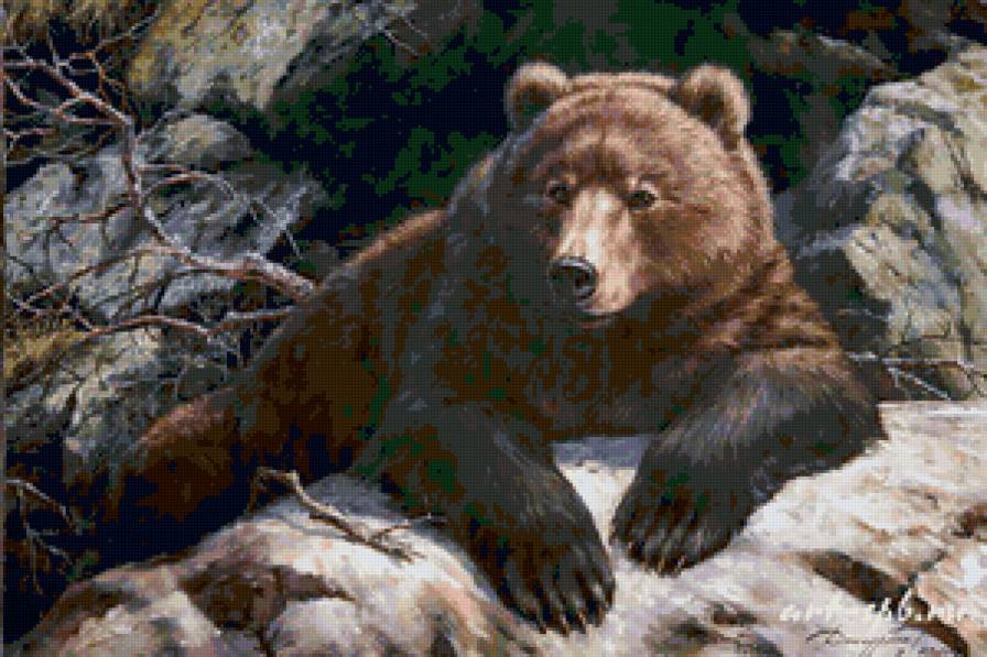 Медведь - картина, животные, медведь, живопись, анималисты - предпросмотр