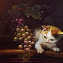 котенок и виноградный листочек