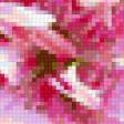 Предпросмотр схемы вышивки «лилии» (№68783)