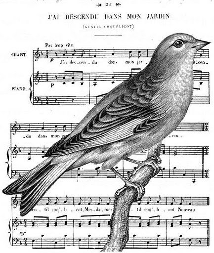 Ноты - ветка, птичка, птица, мелодия, музыка, ноты - оригинал