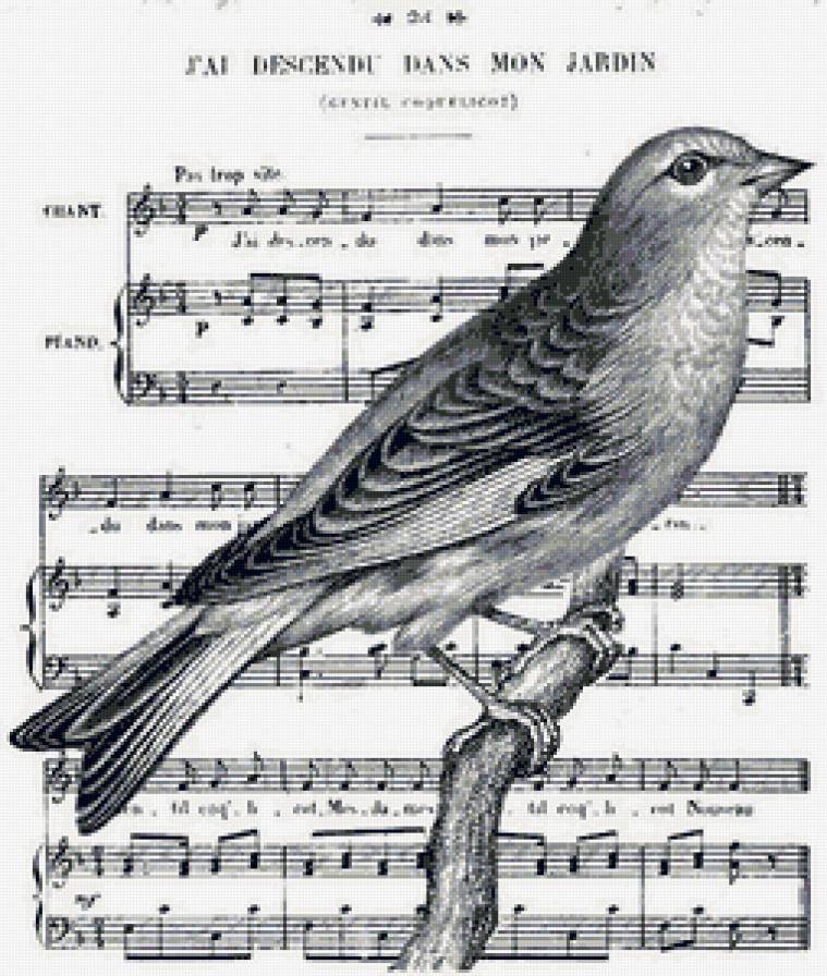 Ноты - мелодия, ноты, птичка, птица, ветка, музыка - предпросмотр
