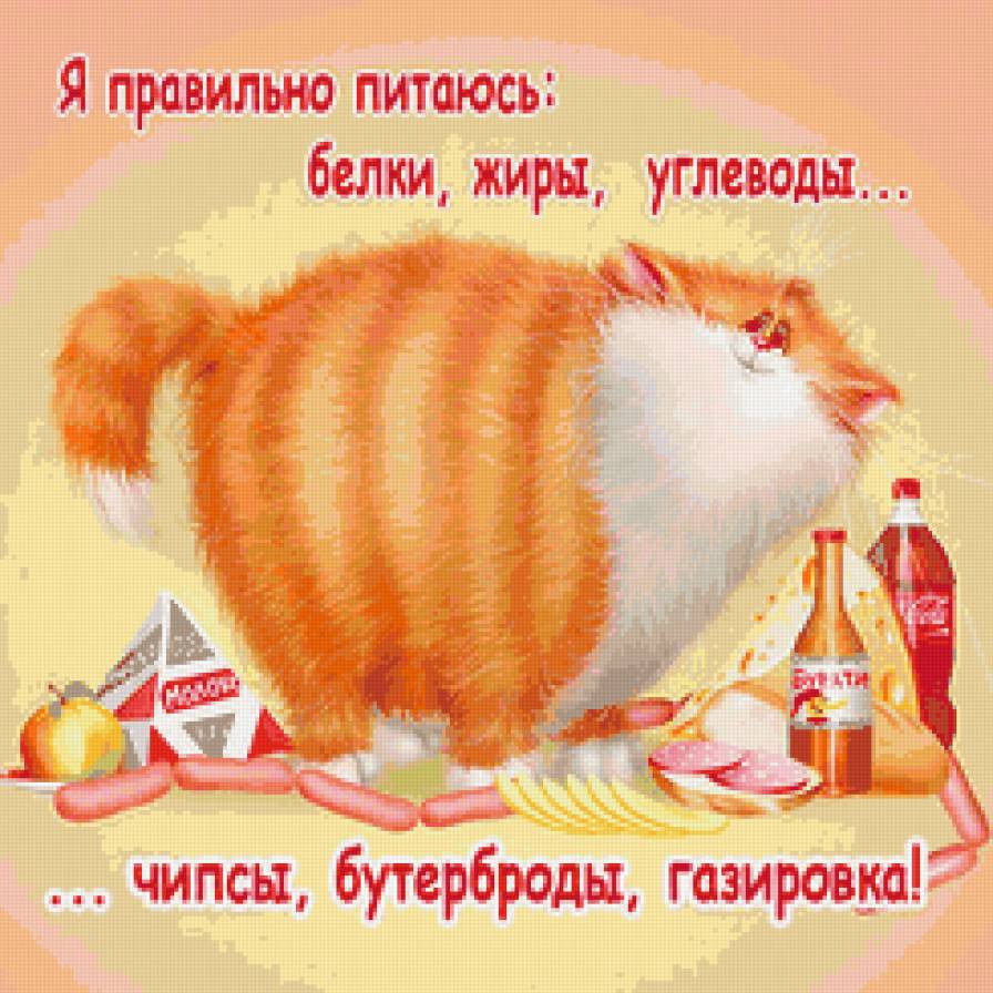 котик - коты, картина, надписи, кошки, зверята, диета - предпросмотр