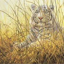 Оригинал схемы вышивки «Белый тигр в траве» (№70156)