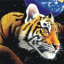 Тигр во Вселенной