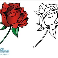 Оригинал схемы вышивки «роза» (№70488)
