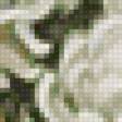 Предпросмотр схемы вышивки «белые хризантемы 1» (№70514)