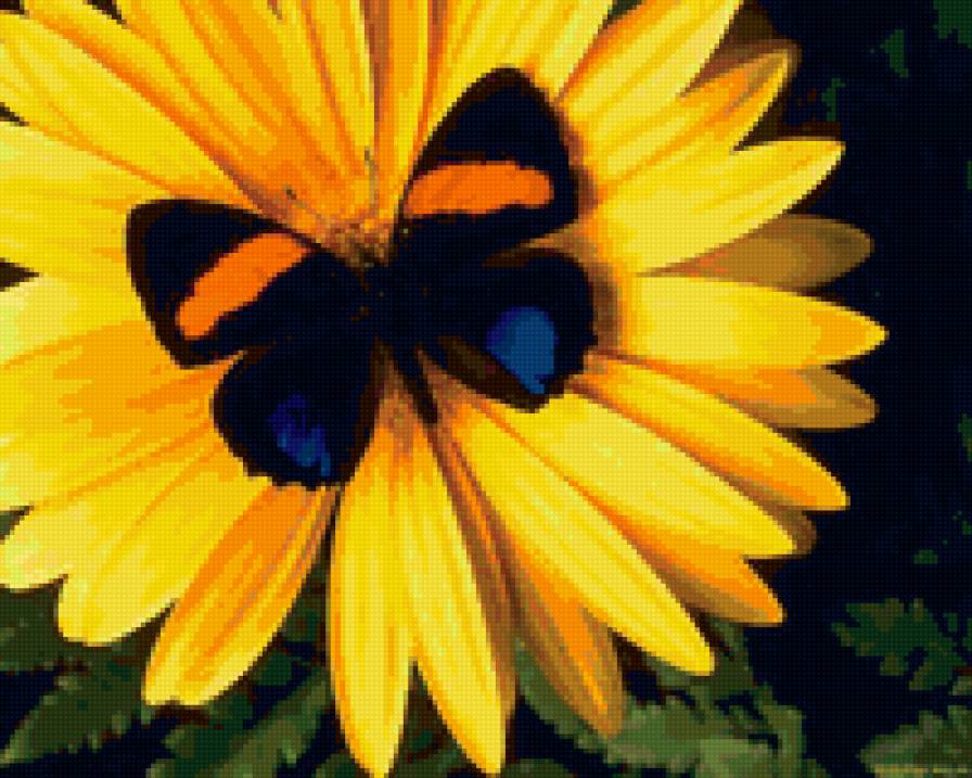 бабочка на желтом цветке - бабочки - предпросмотр