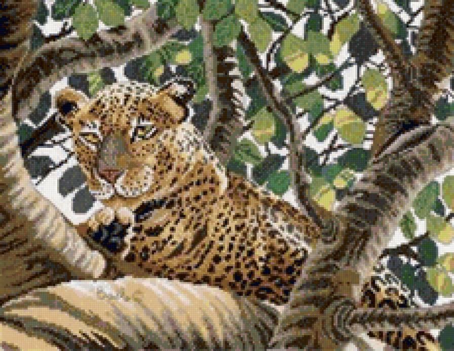 Леопард на ветке - леопард, хищник, животные - предпросмотр