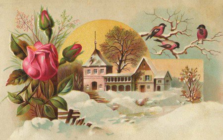 картина - роза, цветы, природа, зима, птички - оригинал