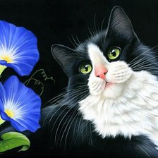 Оригинал схемы вышивки «Котик и цветы» (№70699)