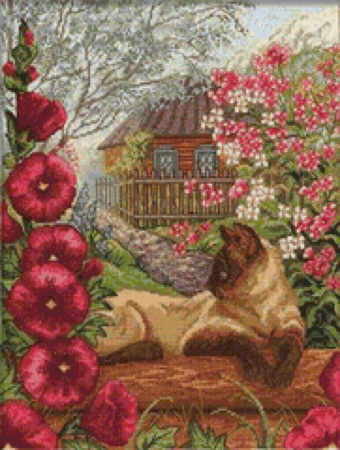 Кошка и деревенский пейзаж - цветы, красота, природа, кошка, животные - предпросмотр