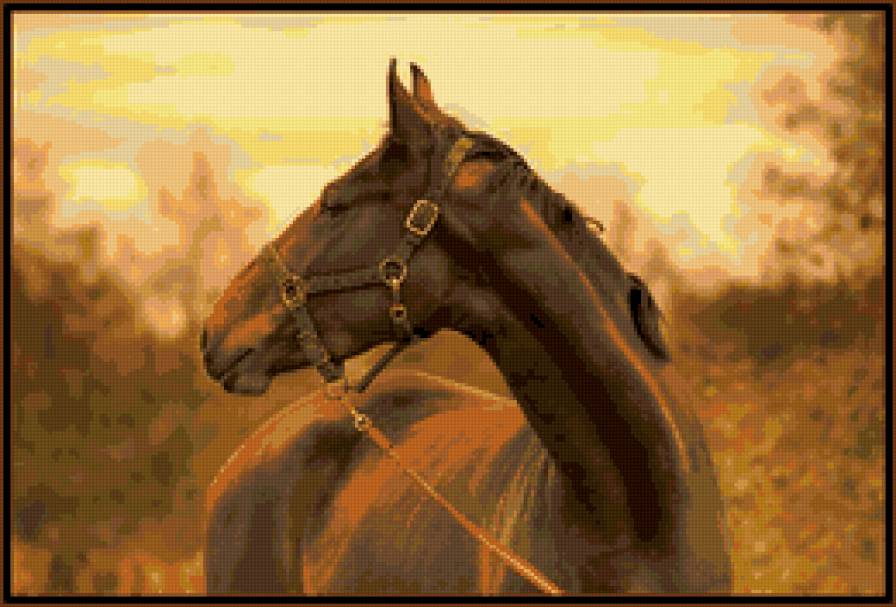 Лошадь в закате - лошадь животное закат - предпросмотр