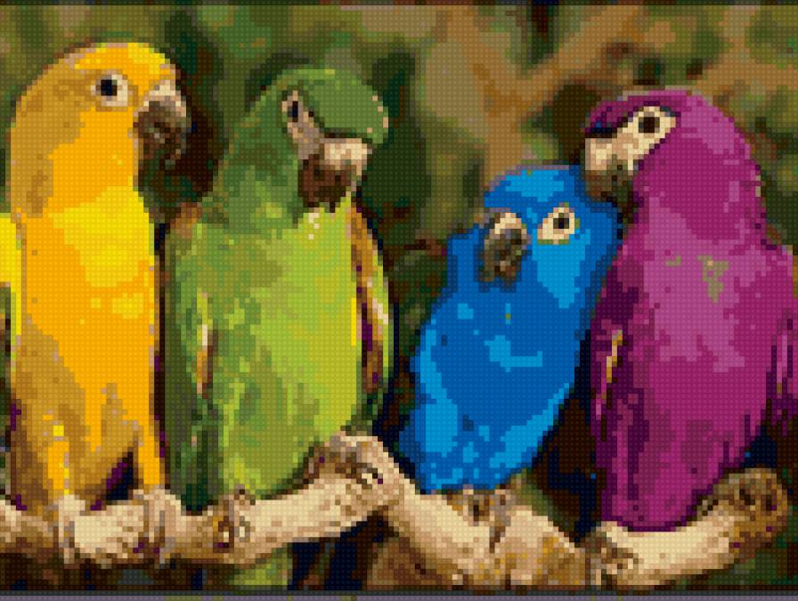 попугайчики - птицы - предпросмотр