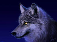 Оригинал схемы вышивки «волк» (№71537)