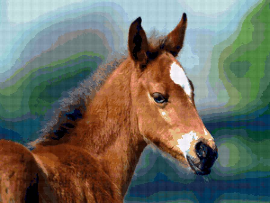 малыш - лошади - предпросмотр
