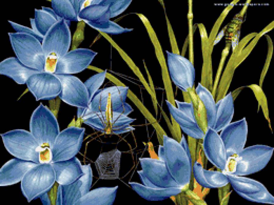 голубые цветы - картинка, цветы, паук - предпросмотр