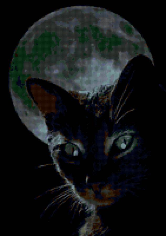 Полнолуние и кот - кошки, ночь, на черном, кот - предпросмотр