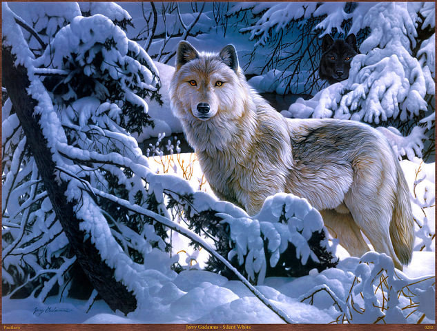 Волк в лесу - волк, зима, лес - оригинал