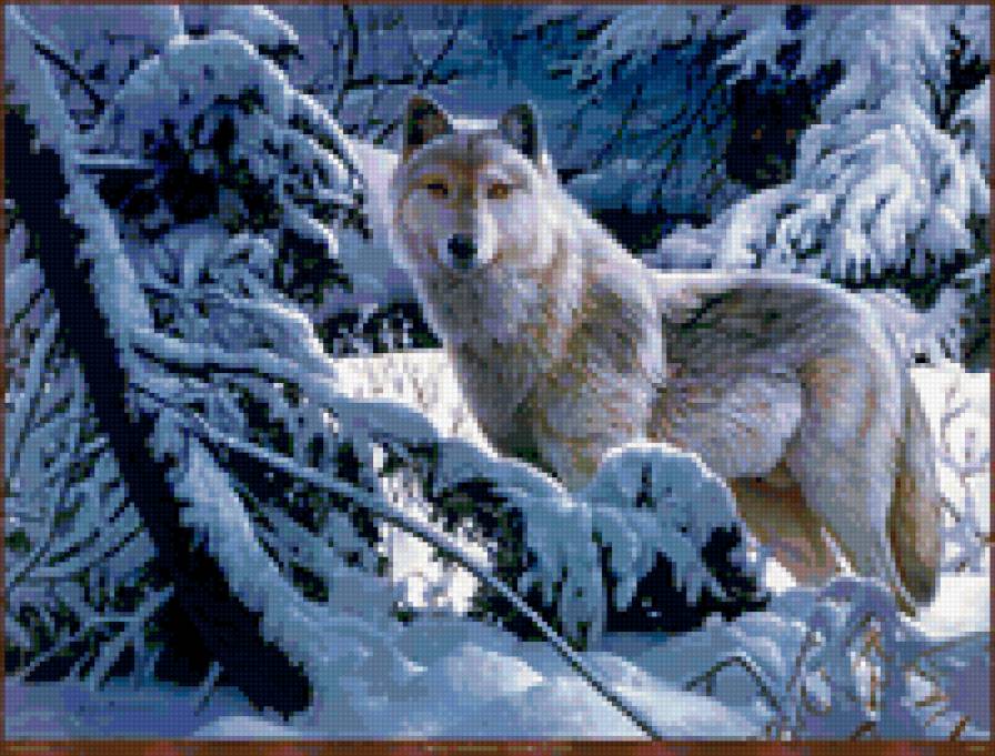 Волк в лесу - лес, зима, волк - предпросмотр