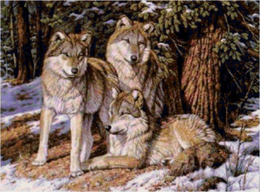 семья - природа, семья, волки - предпросмотр