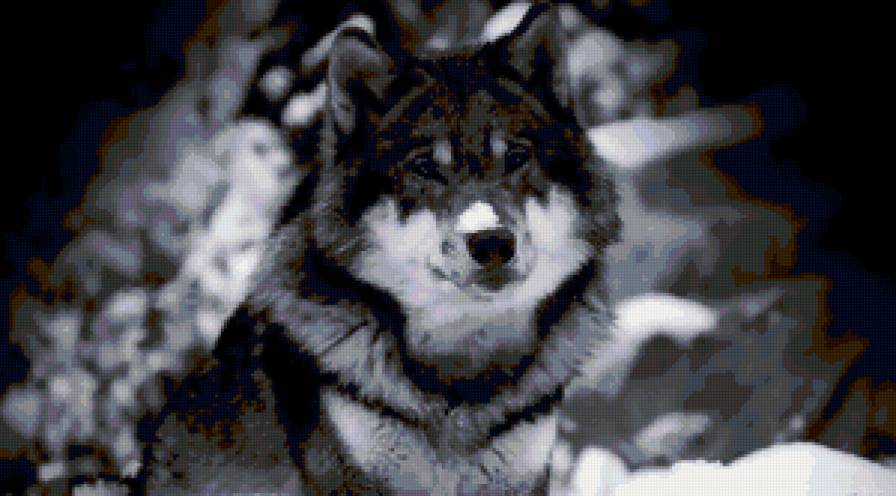 волк - природа, снег, зима, животные, волк - предпросмотр
