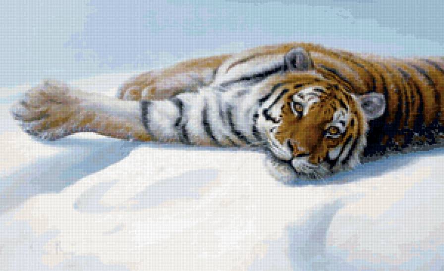 Тигр - животные, хищник, тигр - предпросмотр