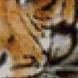 Предпросмотр схемы вышивки «Тигр» (№72934)