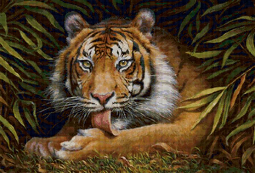 Тигр - тигр, хищник, животные - предпросмотр