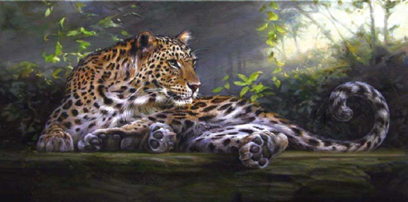 Леопард - кошки, хищник, животные, леопард - оригинал