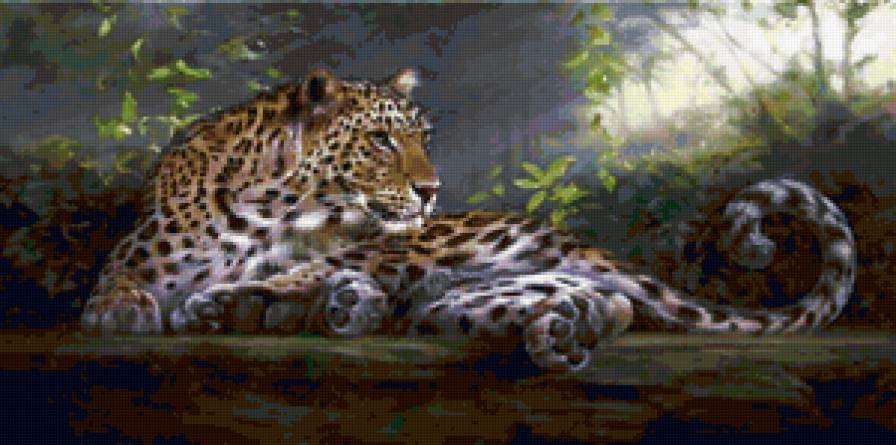 Леопард - леопард, кошки, хищник, животные - предпросмотр