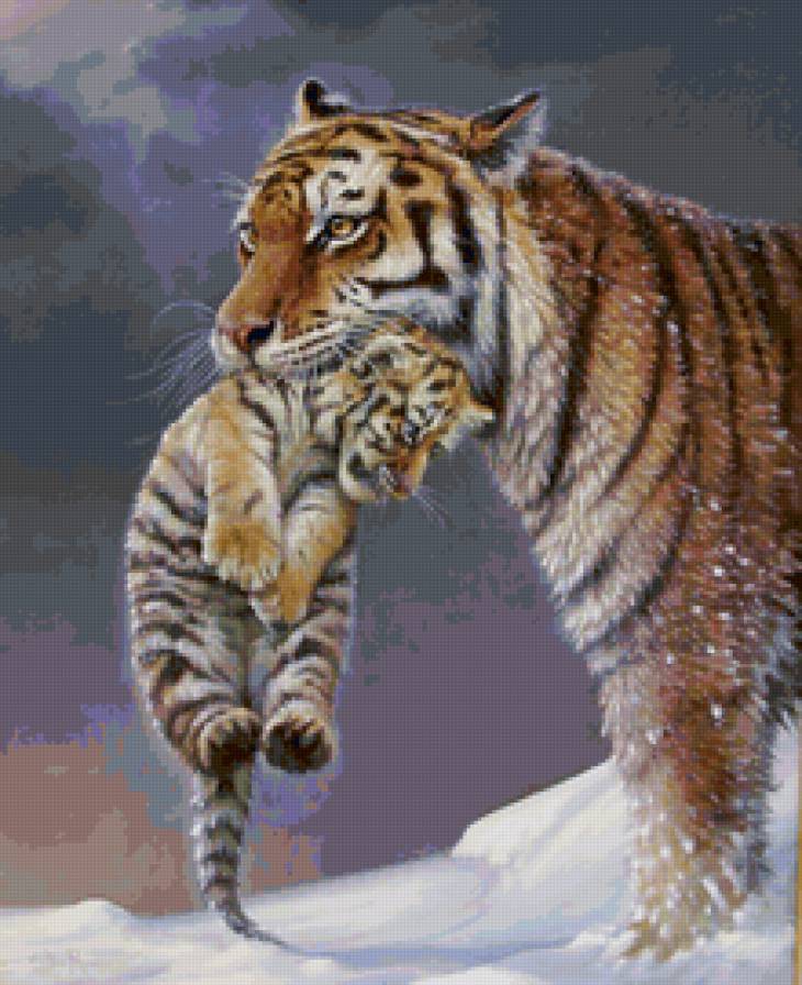 Тигрица с тигренком - тигренок, мама, животные, хищник, тигр - предпросмотр