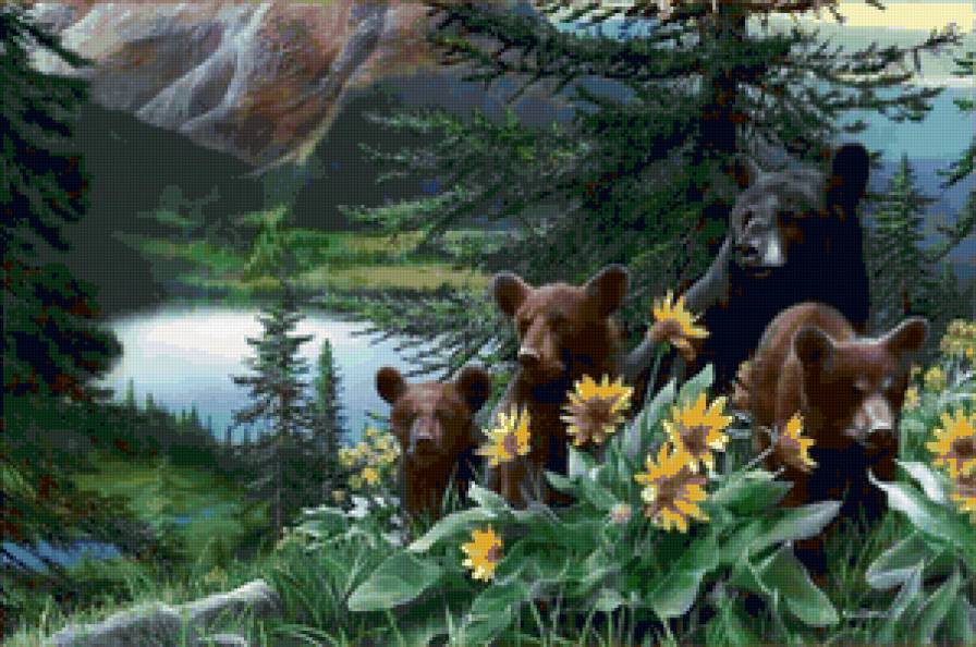Медведи - медведь, хищник, медвежонок, мама, животные - предпросмотр