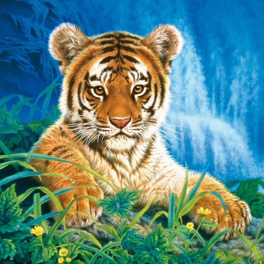 Тигренок - тигр, тигренок, хищник, животные - оригинал